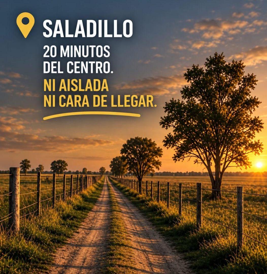 Foto de CAMPO 55 HECTAREAS MIXTAS EN SALADILLO, imagen 3