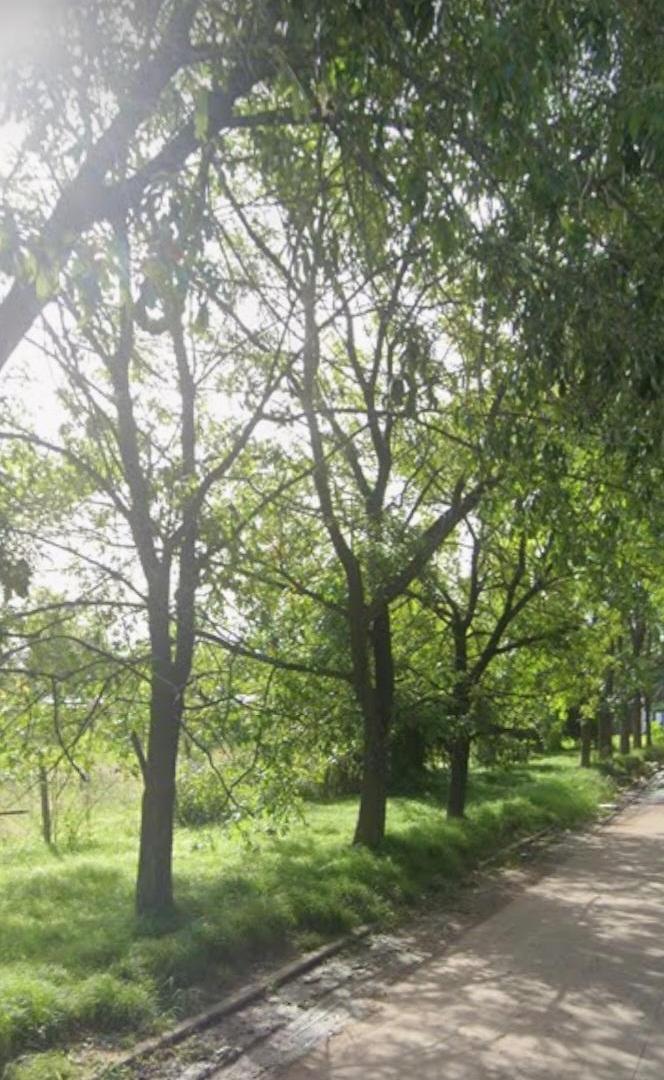 Foto de Terreno en General Rodriguez, imagen 5