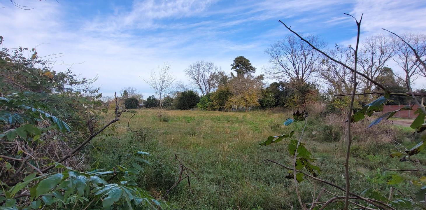 Foto de Terreno en General Rodriguez, imagen 1