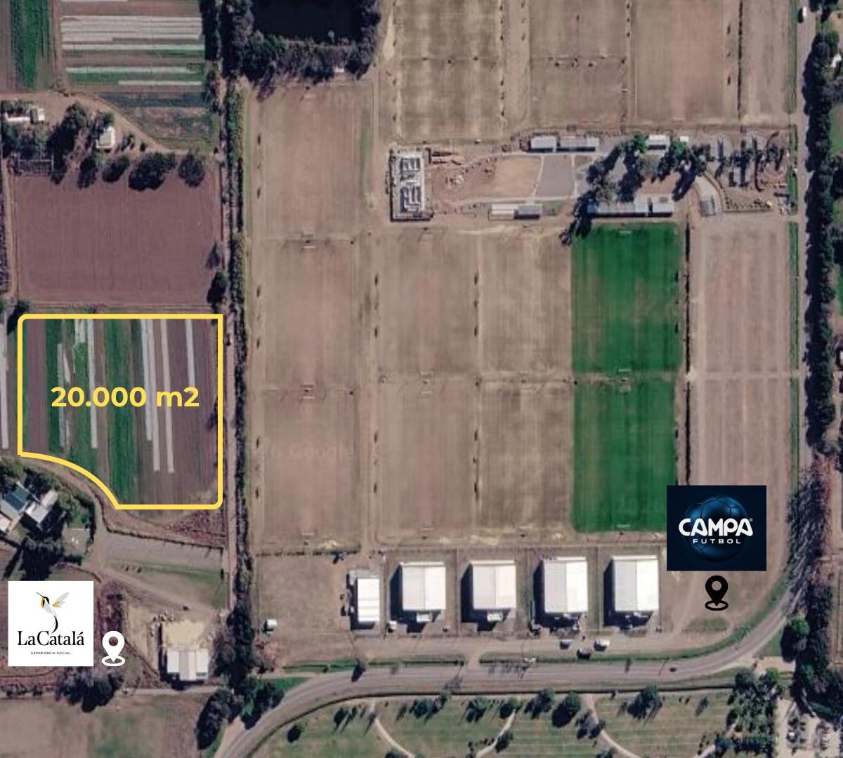 Foto de PREDIO DE 20.000 m² EN ALQUILER – RUTA A174 – km 8, imagen 3