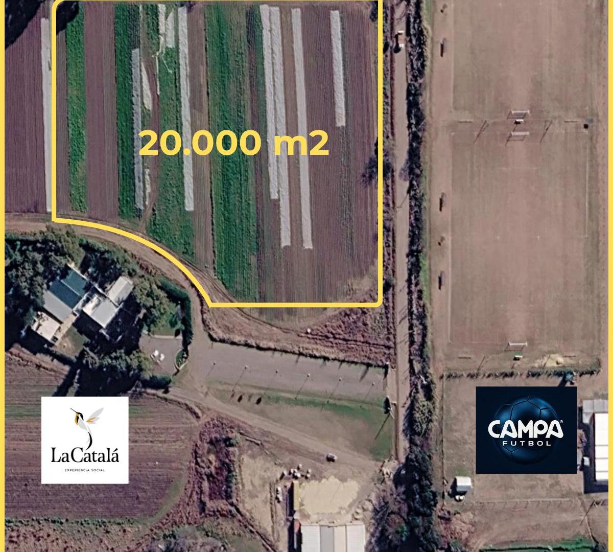 Foto de PREDIO DE 20.000 m² EN ALQUILER – RUTA A174 – km 8, imagen 4