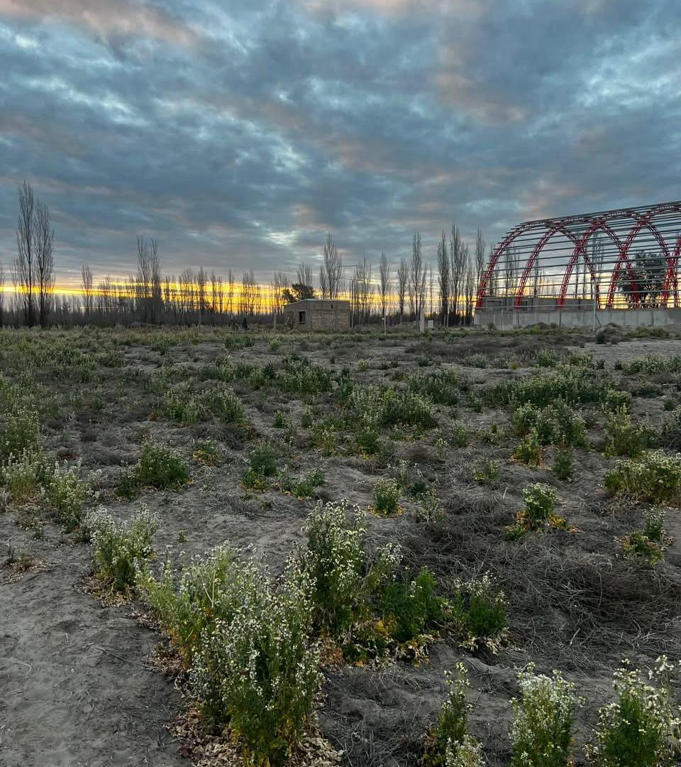 Foto de Venta de Terreno, imagen 3