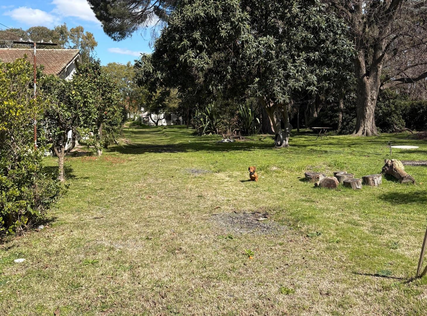 Foto de Oportunidad. Lote en barrio cerrado, imagen 5
