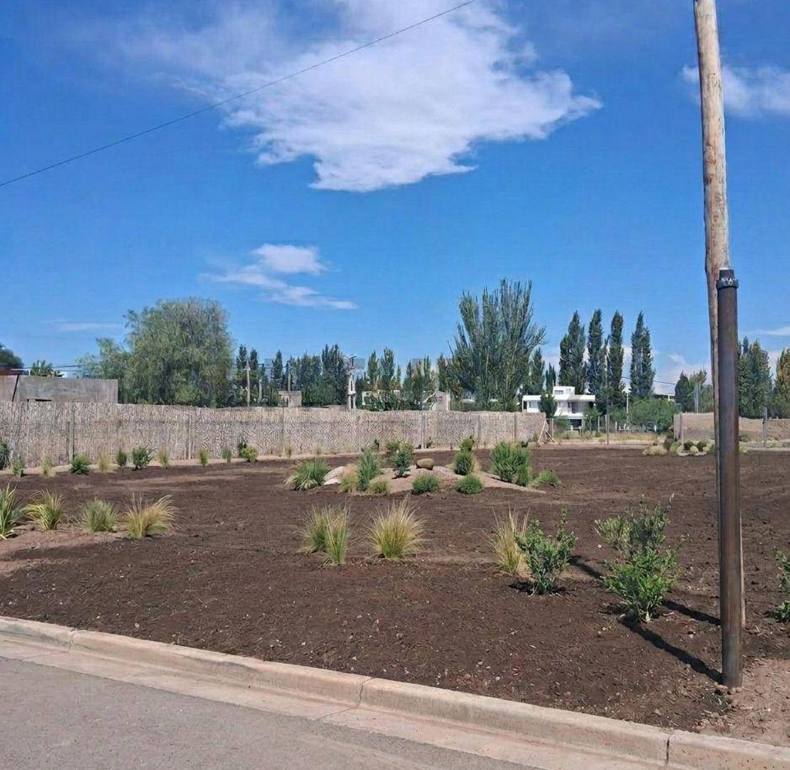 Foto de VENTA LOTES EN CALLE ALZAGA CHACRAS DE CORIA, LUJAN DE CUYO, imagen 4
