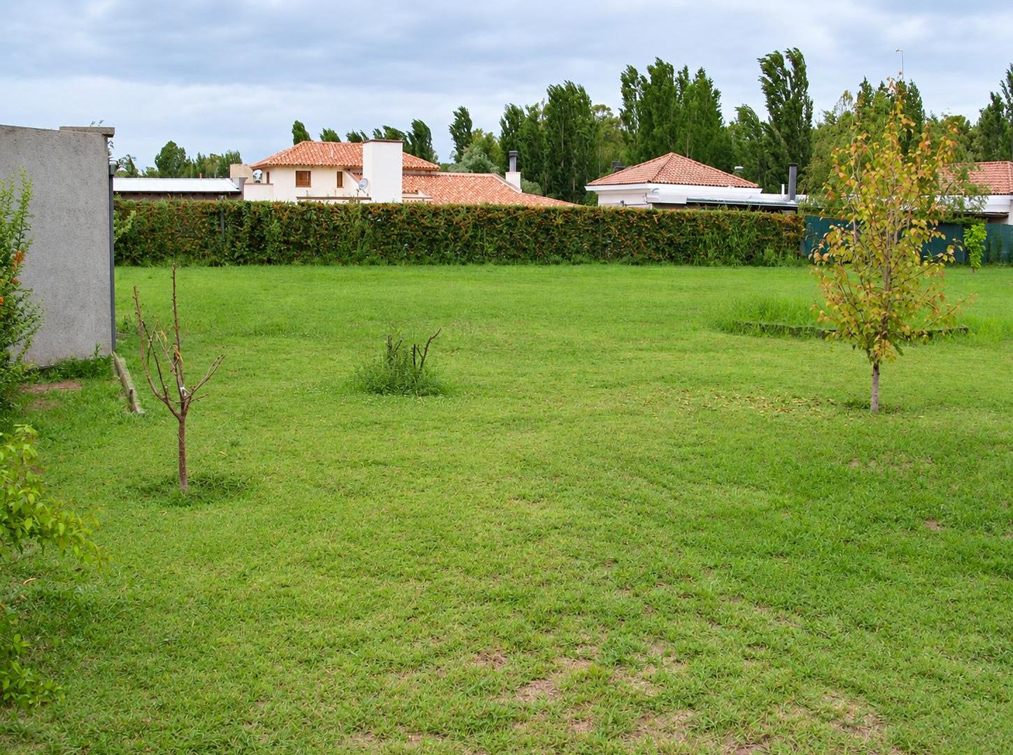 Foto de VENTA LOTES EN CALLE ALZAGA CHACRAS DE CORIA, LUJAN DE CUYO, imagen 2