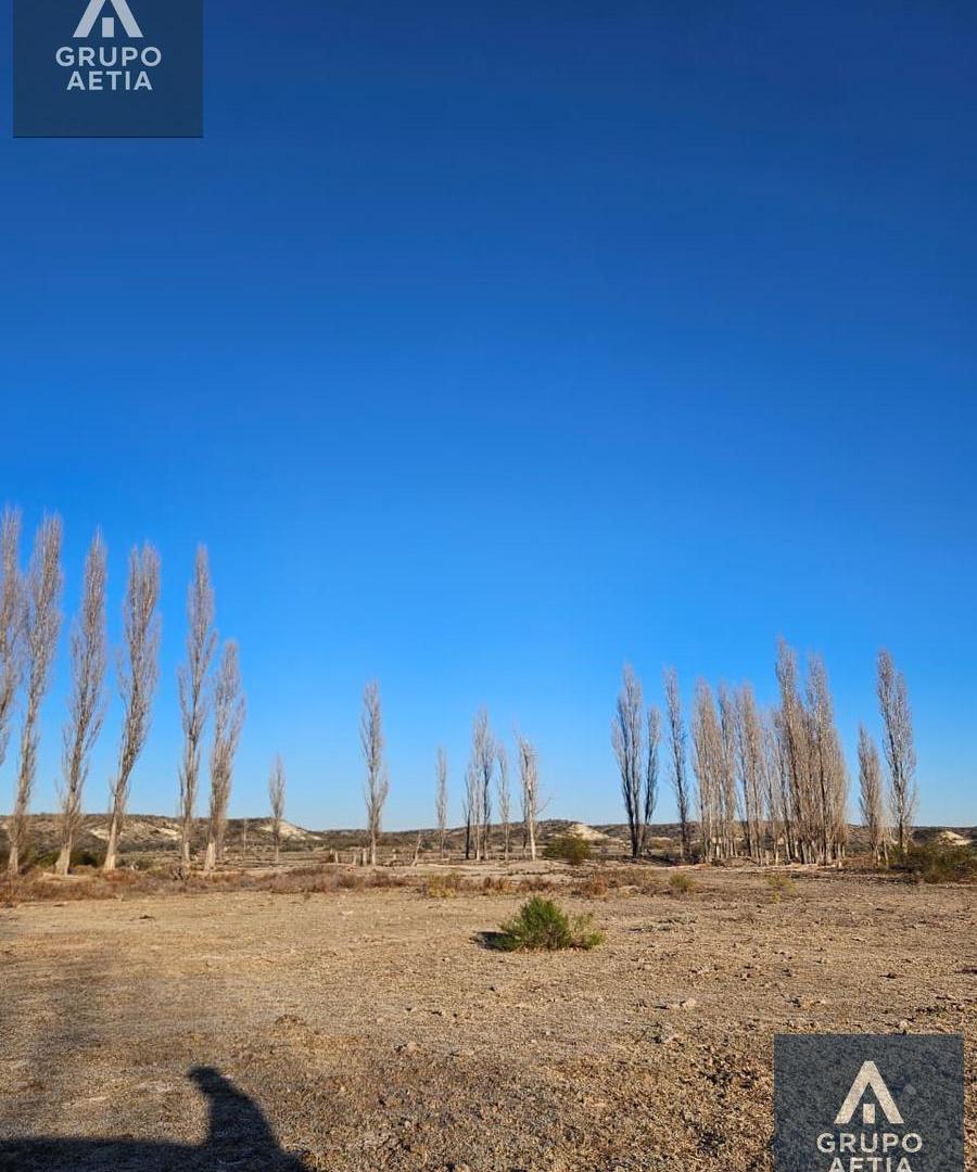 Foto de Terreno en Mainque, imagen 3