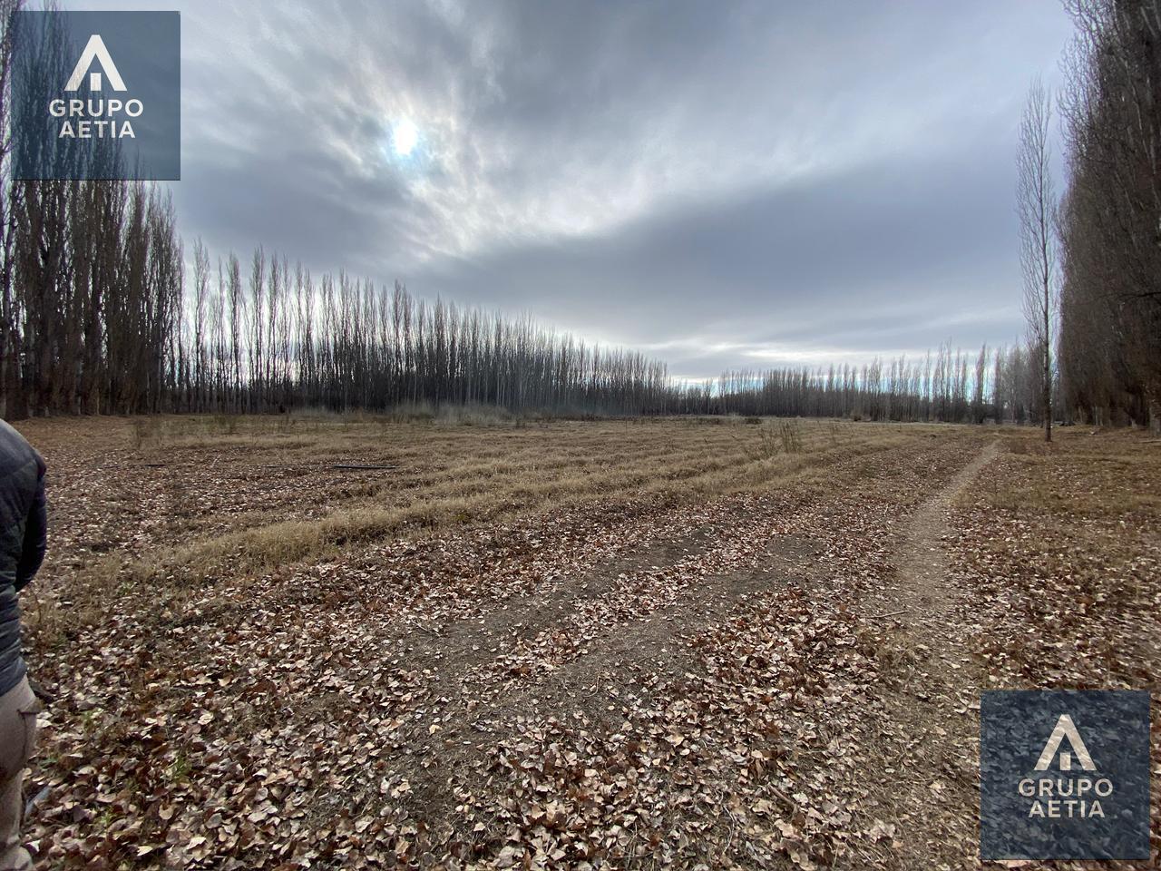 Foto de Terreno en Mainque, imagen 1