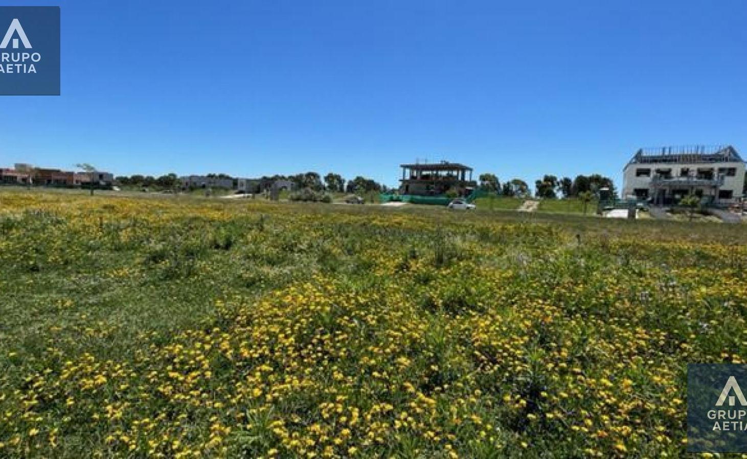 Foto de Terreno en Magallanes, imagen 4