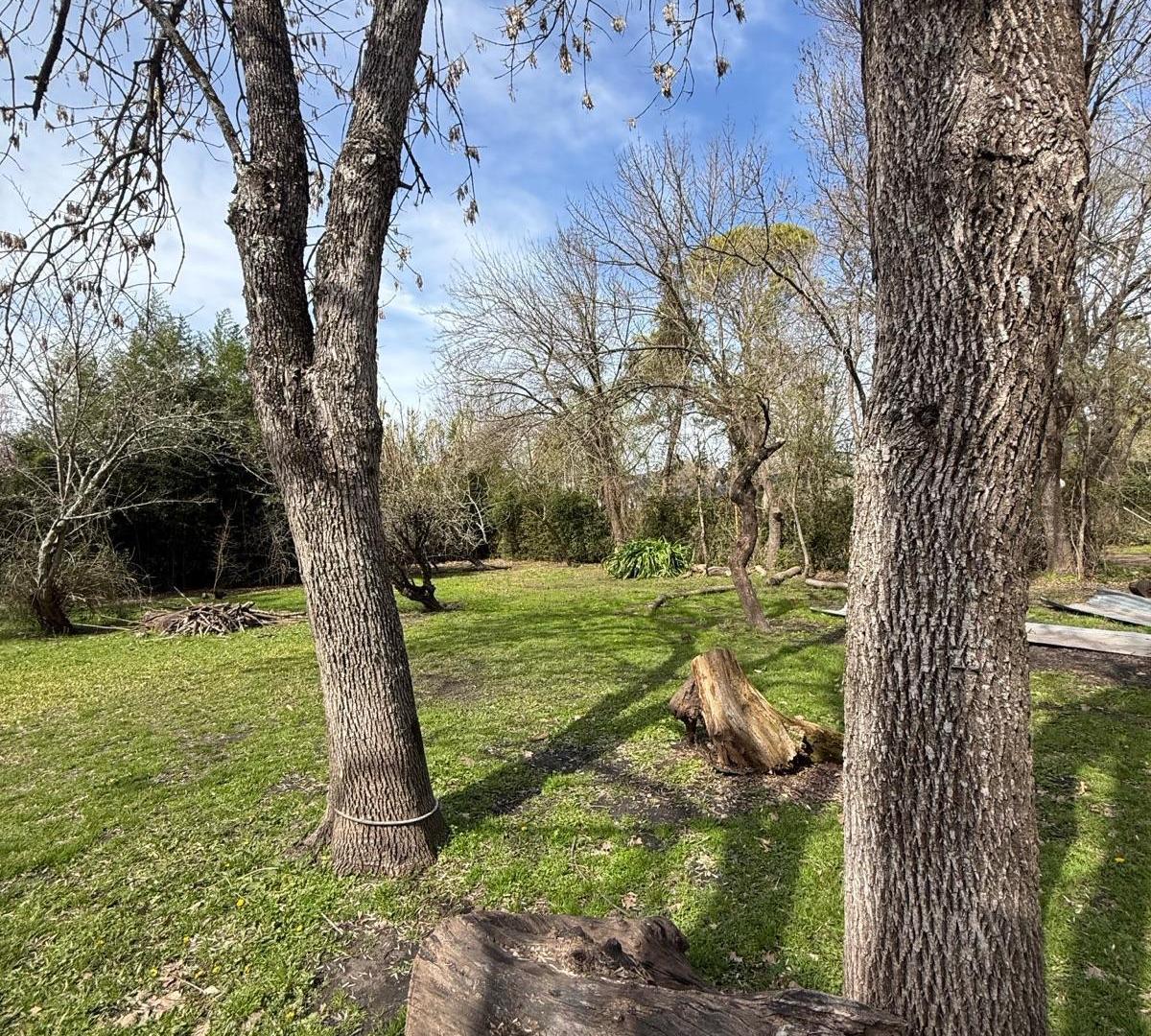 Foto de Terreno - Gualeguaychu, imagen 4
