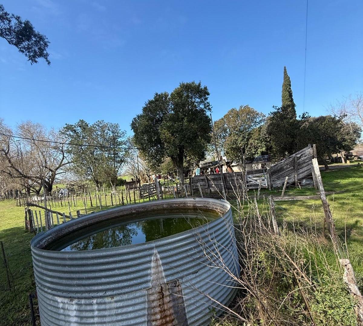 Foto de Chacra - Gualeguaychu, imagen 1