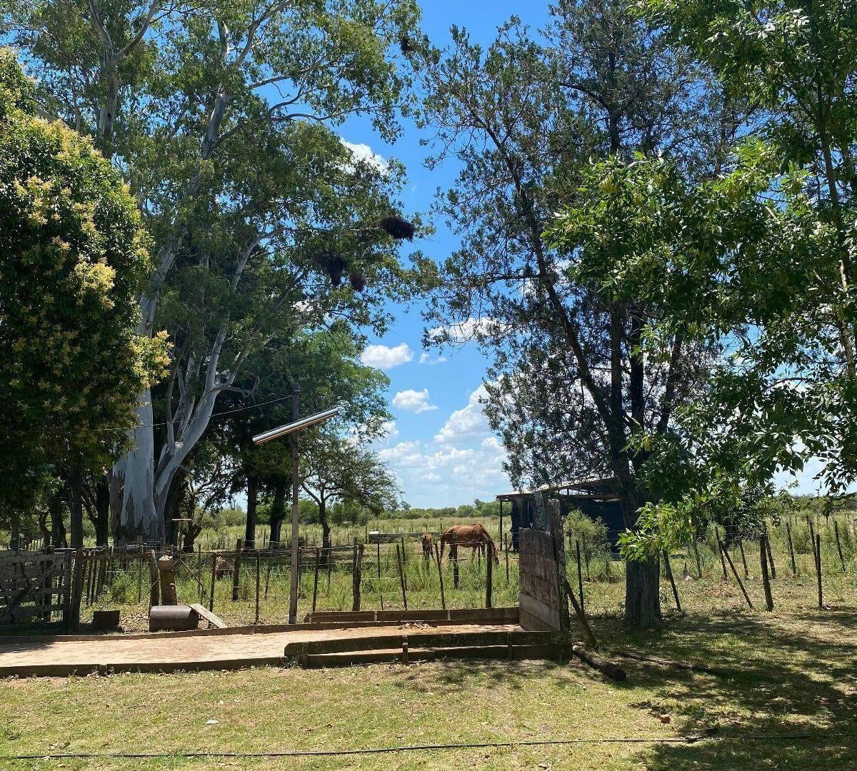 Foto de Chacra - Gualeguaychu, imagen 3