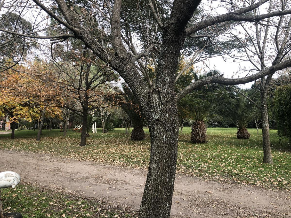 Foto de Quinta - Gualeguaychu, imagen 2