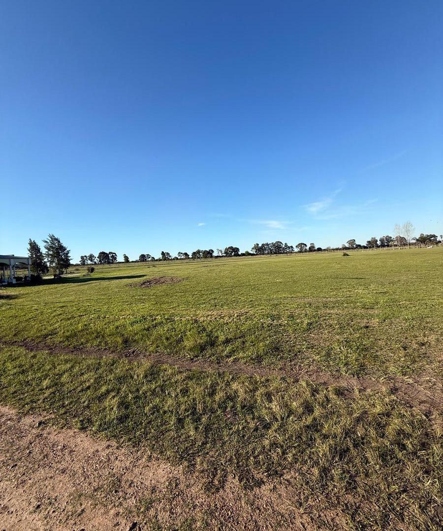 Foto de Terreno en Gualeguaychu, imagen 4