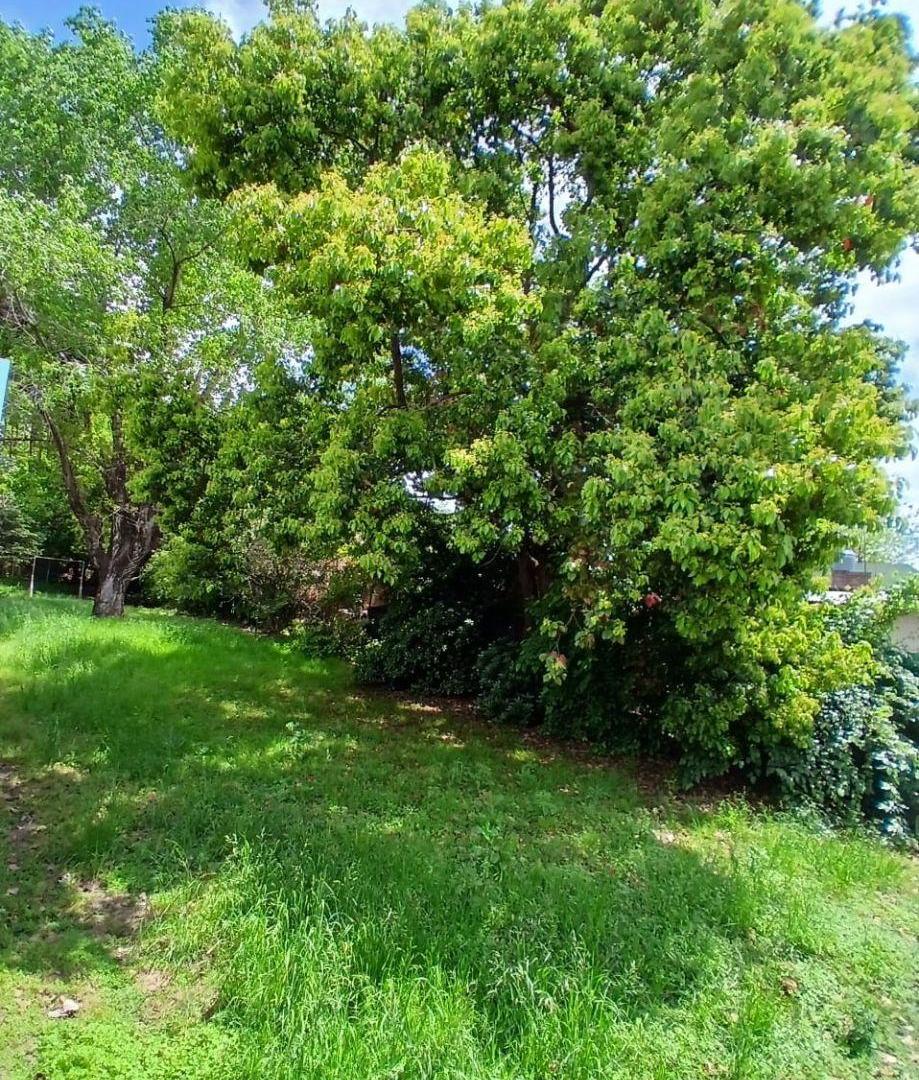 Foto de TERRENO EN VENTA 550 m². EN GARIN CENTRO, imagen 3