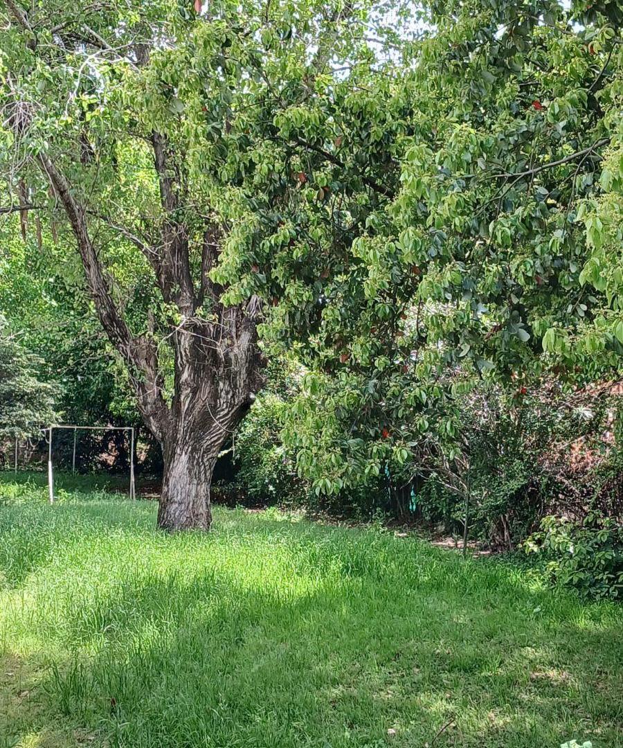 Foto de TERRENO EN VENTA 550 m². EN GARIN CENTRO, imagen 4