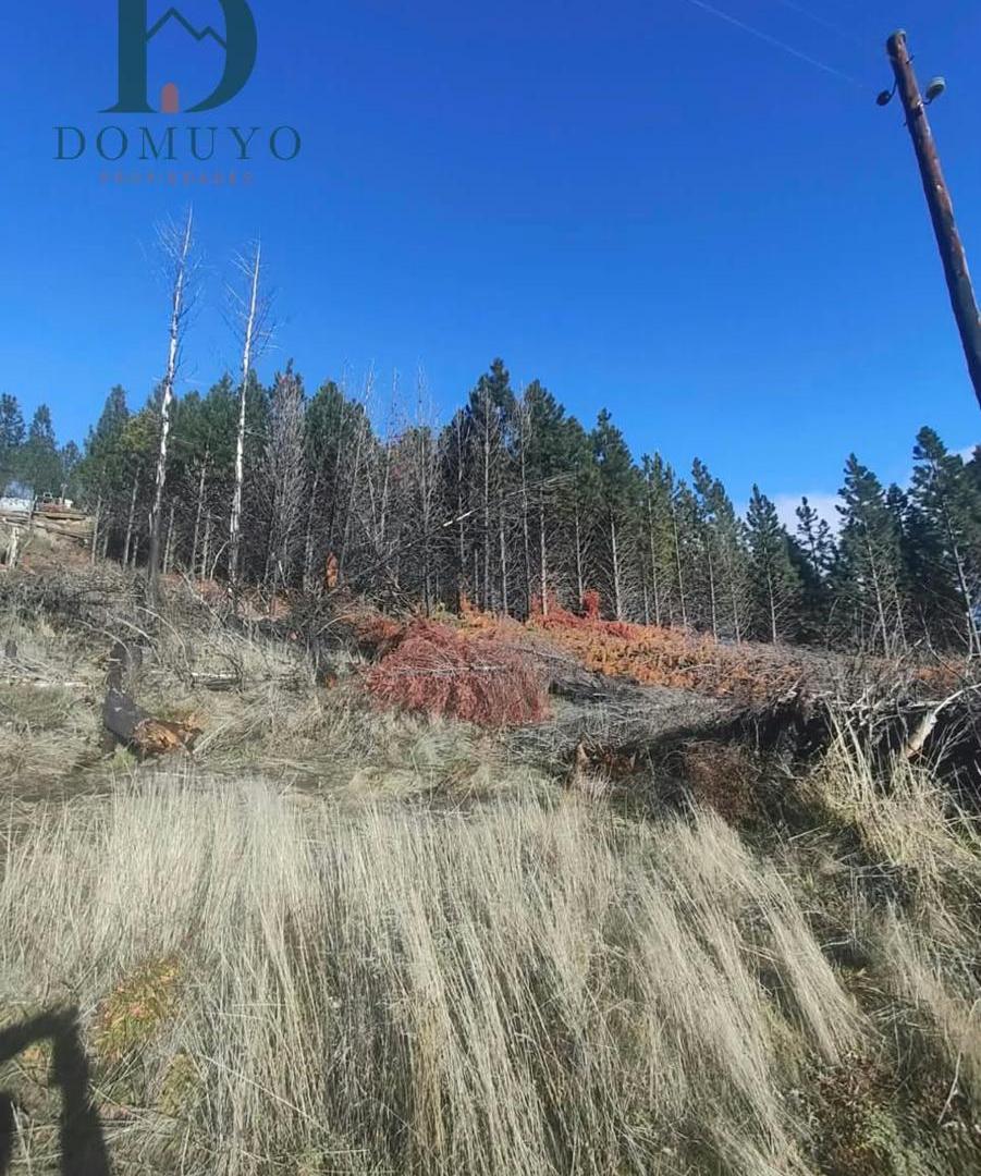 Foto de Terreno en San Martin De Los Andes, imagen 4