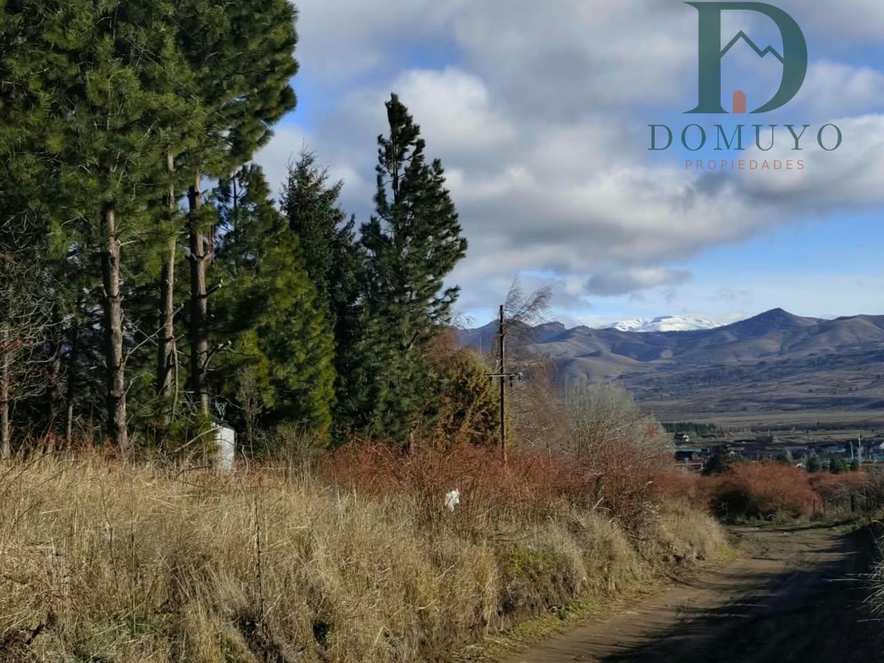 Foto de Terreno en San Martin De Los Andes, imagen 3