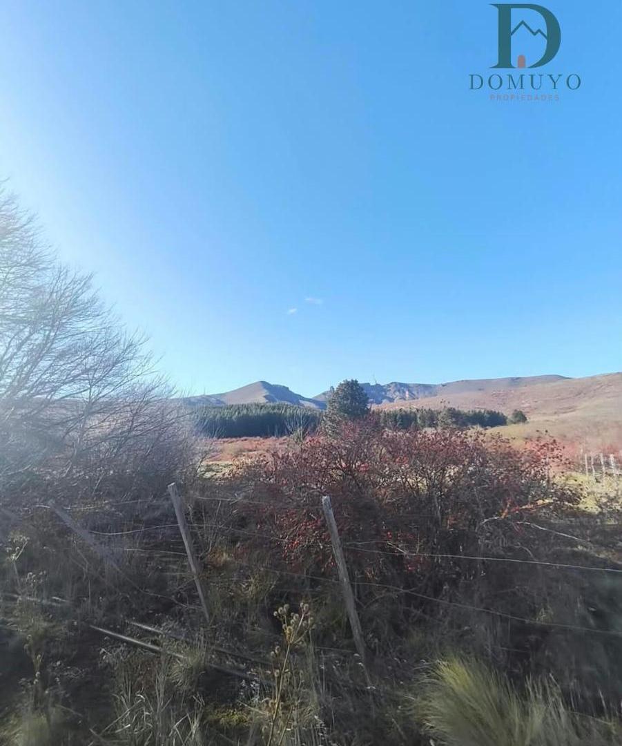 Foto de 1.5 HECTAREAS EN SAN MARTIN DE LOS ANDES, imagen 2