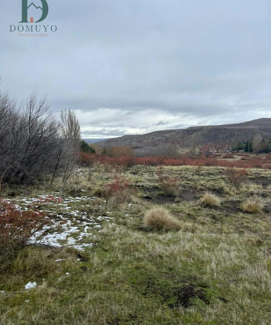Foto de 1.5 HECTAREAS EN SAN MARTIN DE LOS ANDES, imagen 4