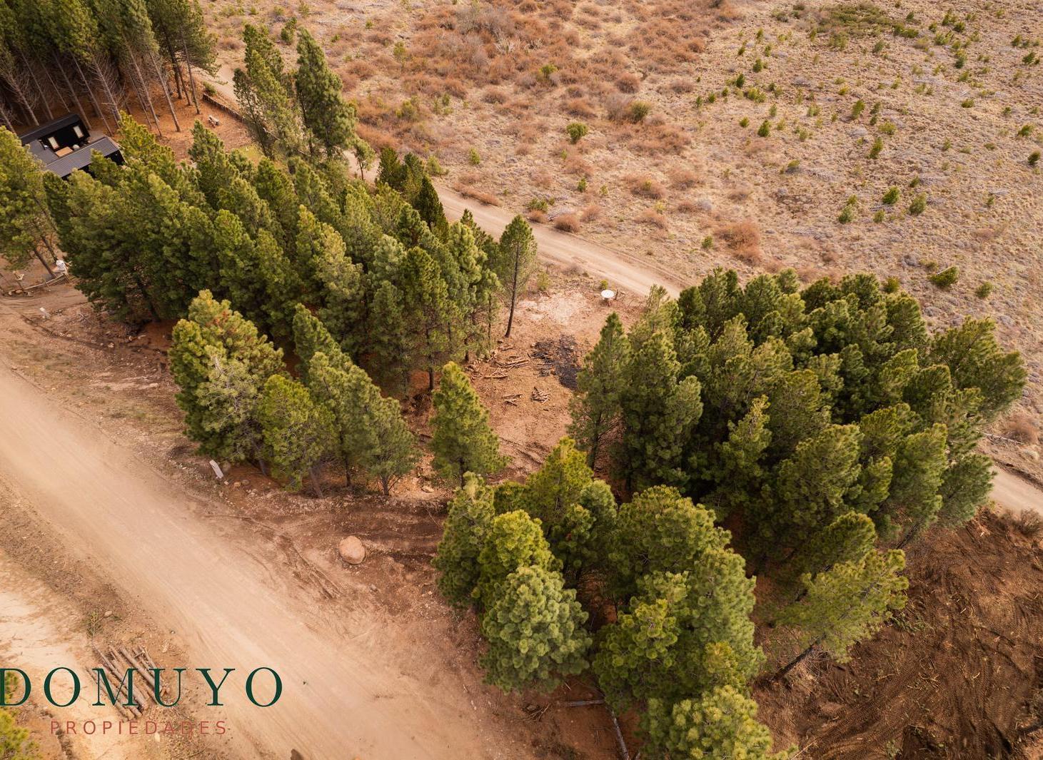 Foto de VENTA Lote | Terreno 927m2 El Remanso San Martín de los Andes, imagen 5