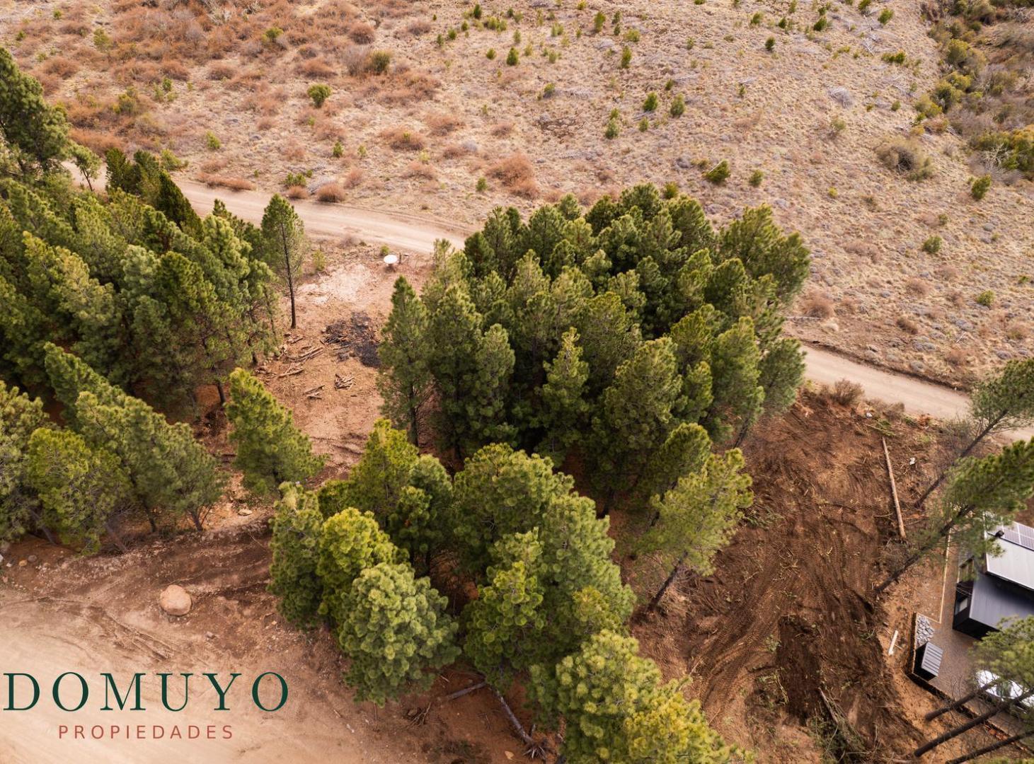 Foto de VENTA Lote | Terreno 927m2 El Remanso San Martín de los Andes, imagen 3