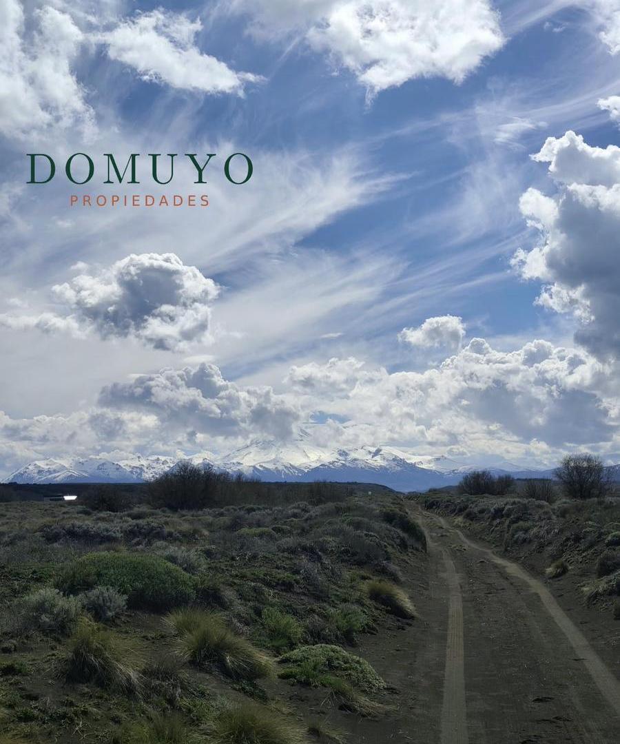 Foto de Lote en Lago Huechulafquen 5000m2, imagen 4