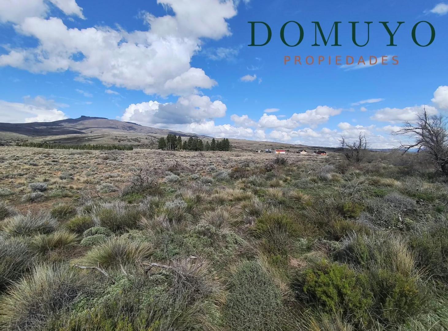 Foto de Lote en Lago Huechulafquen 5000m2, imagen 1