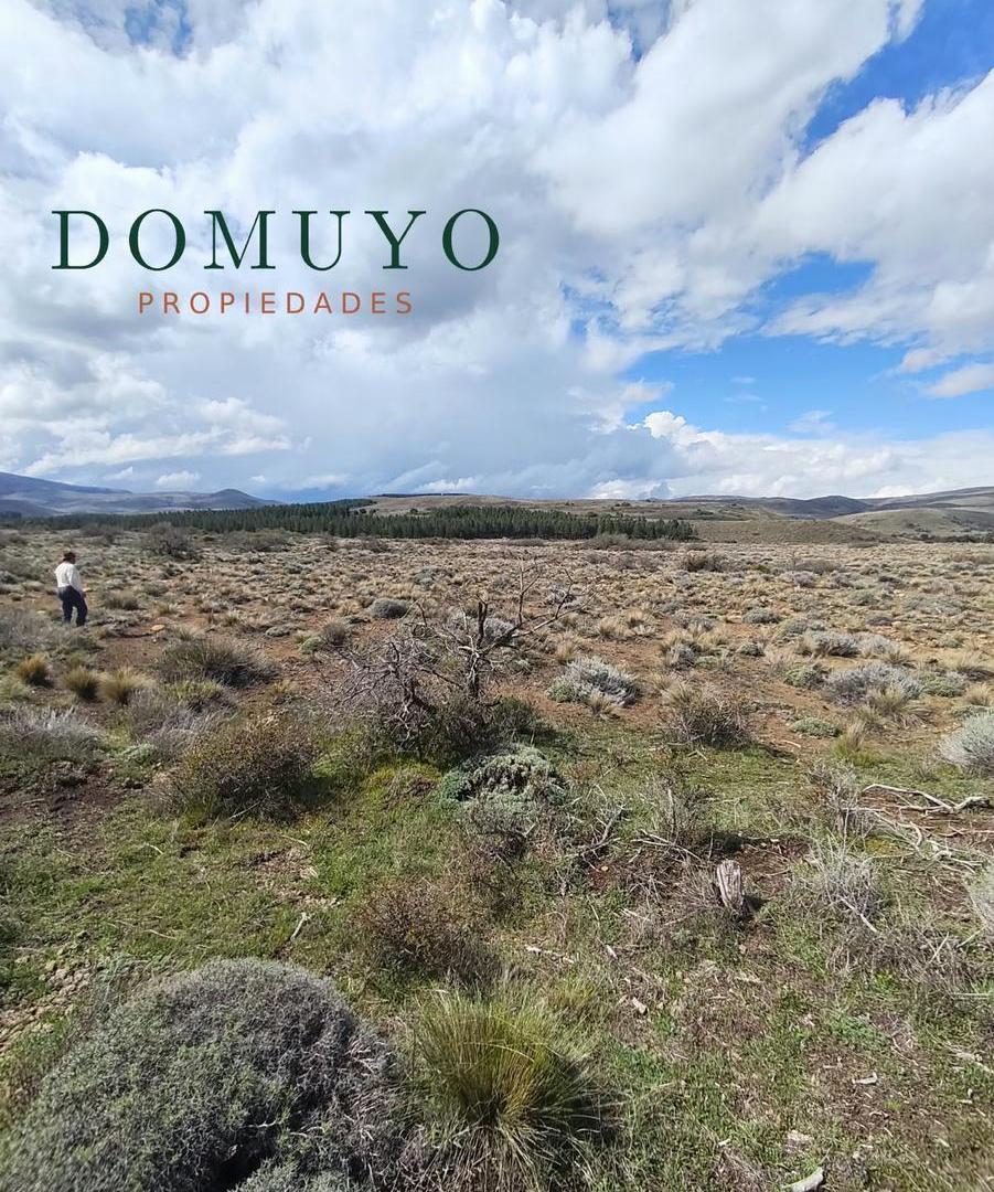 Foto de Lote en Lago Huechulafquen 5000m2, imagen 2