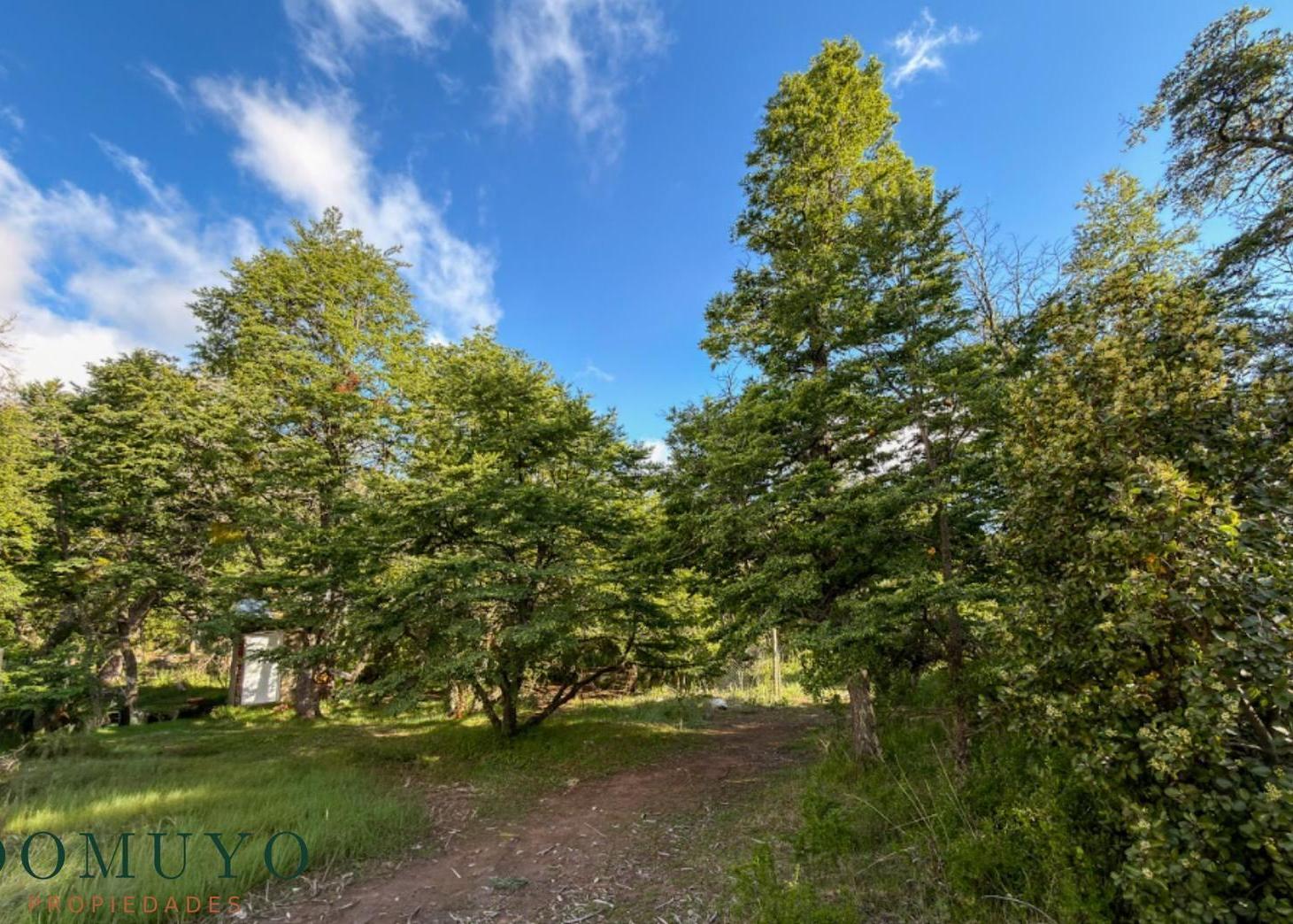 Foto de VENTA Lote / Terreno 623,85 m² Kaleuche, San Martín de los Andes, imagen 5