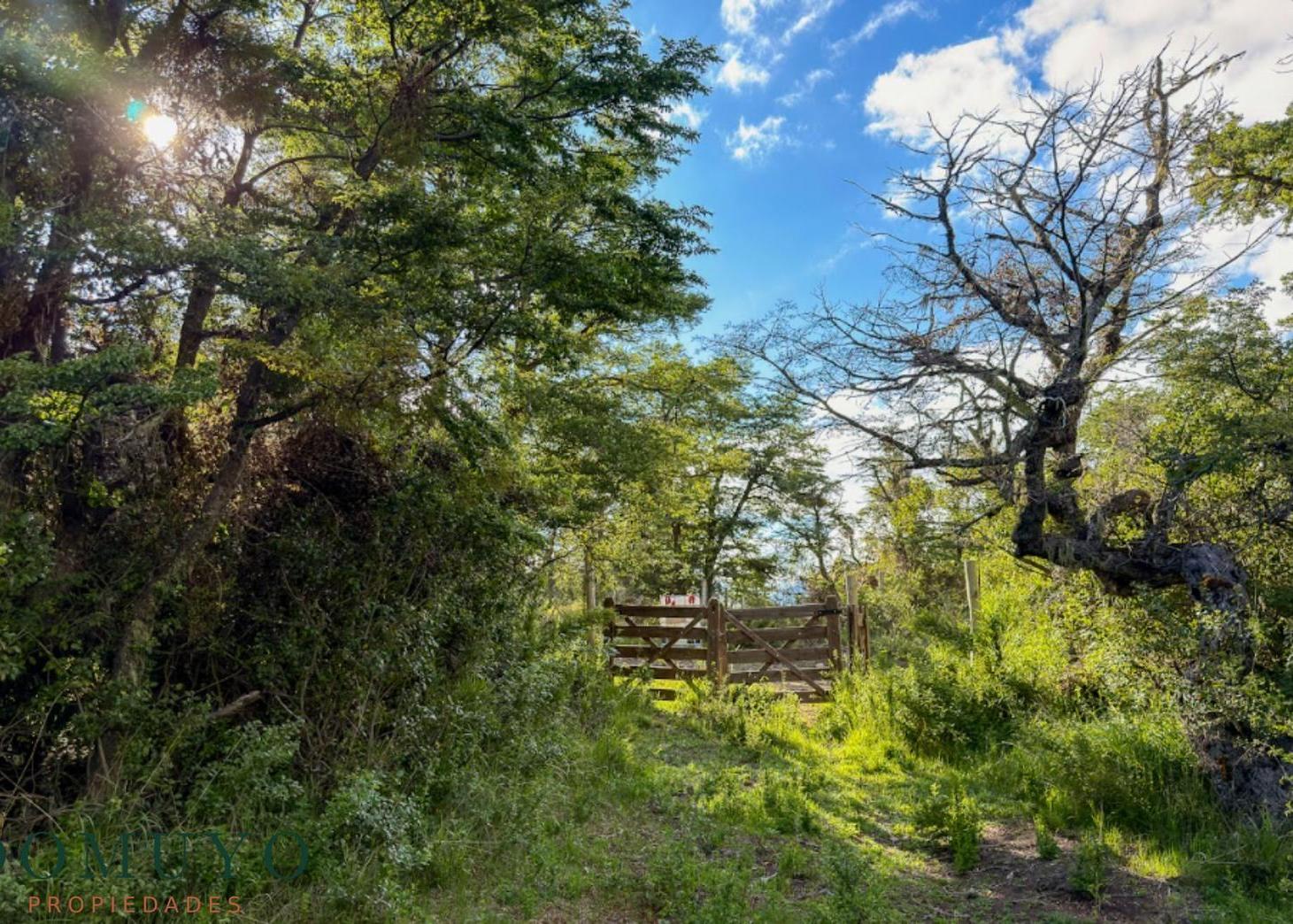 Foto de VENTA Lote / Terreno 623,85 m² Kaleuche, San Martín de los Andes, imagen 3