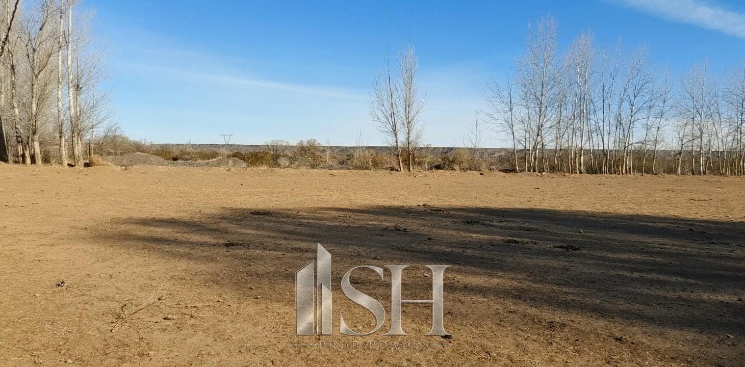 Foto de 5 Hectareas en Venta San Patricio del Chañar Picada 8, imagen 2