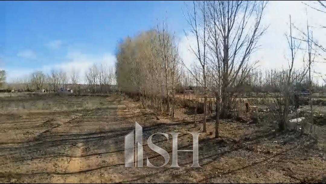 Foto de 5 Hectareas en Venta San Patricio del Chañar Picada 8, imagen 3