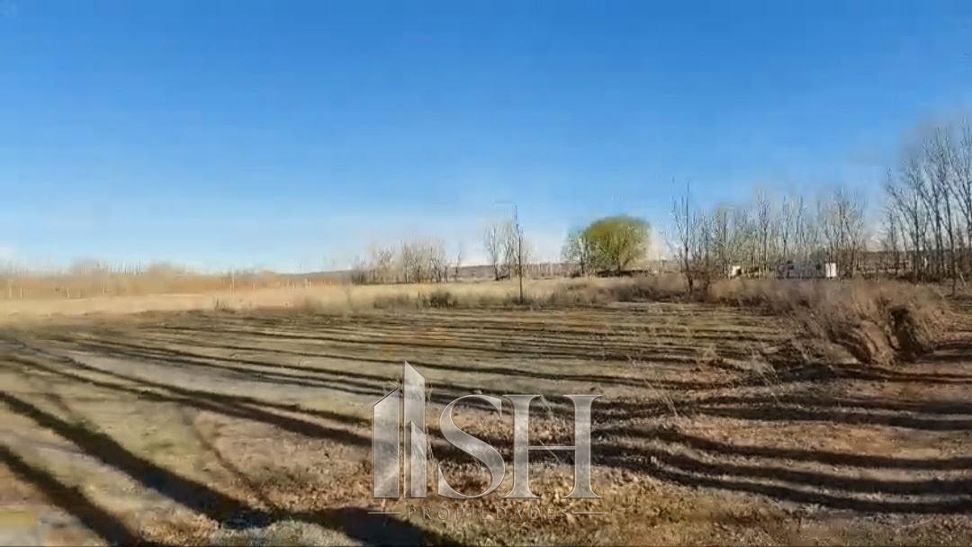 Foto de 5 Hectareas en Venta San Patricio del Chañar Picada 8, imagen 4