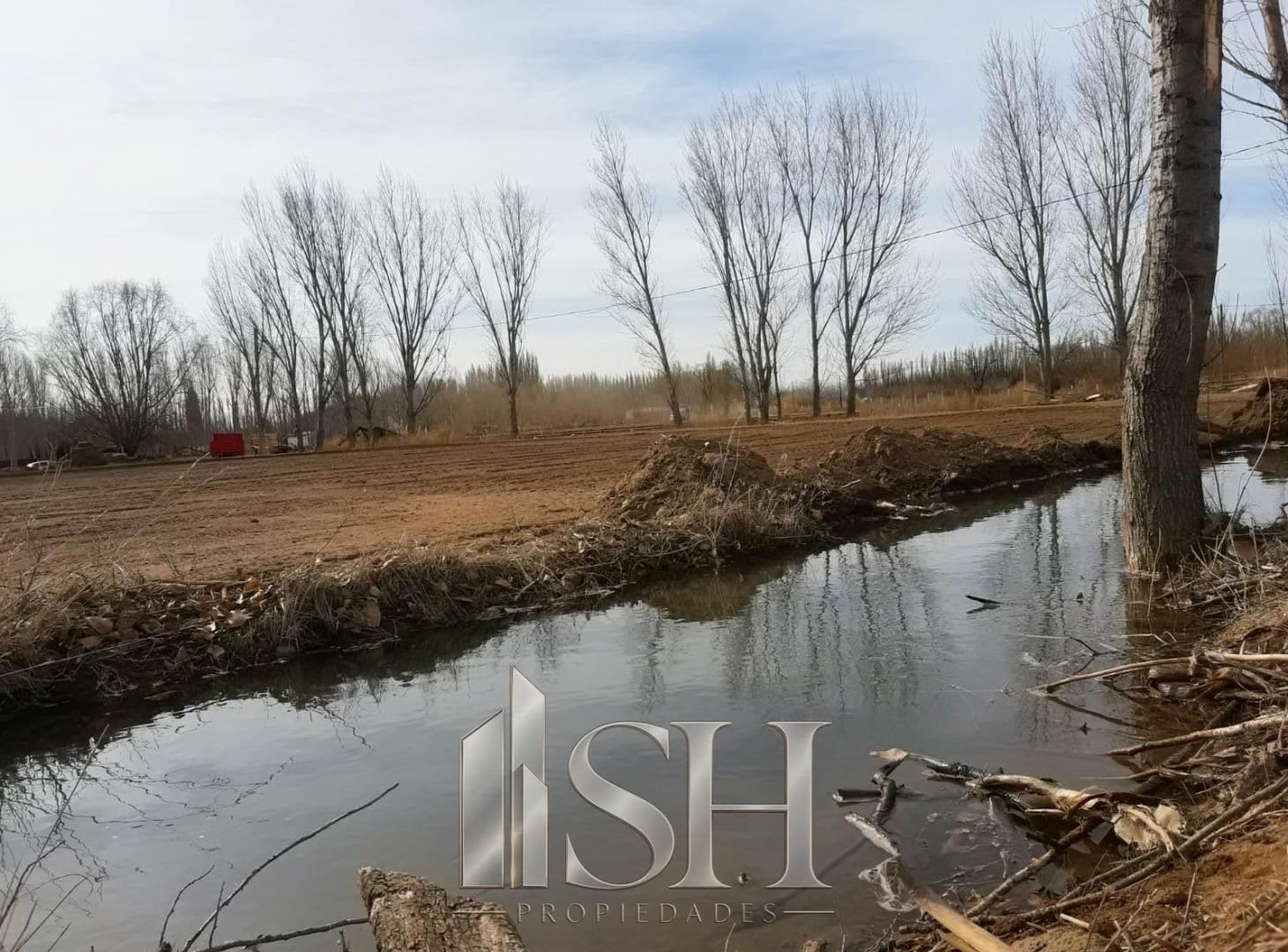 Foto de 5 Hectareas en Venta San Patricio del Chañar Picada 8, imagen 5