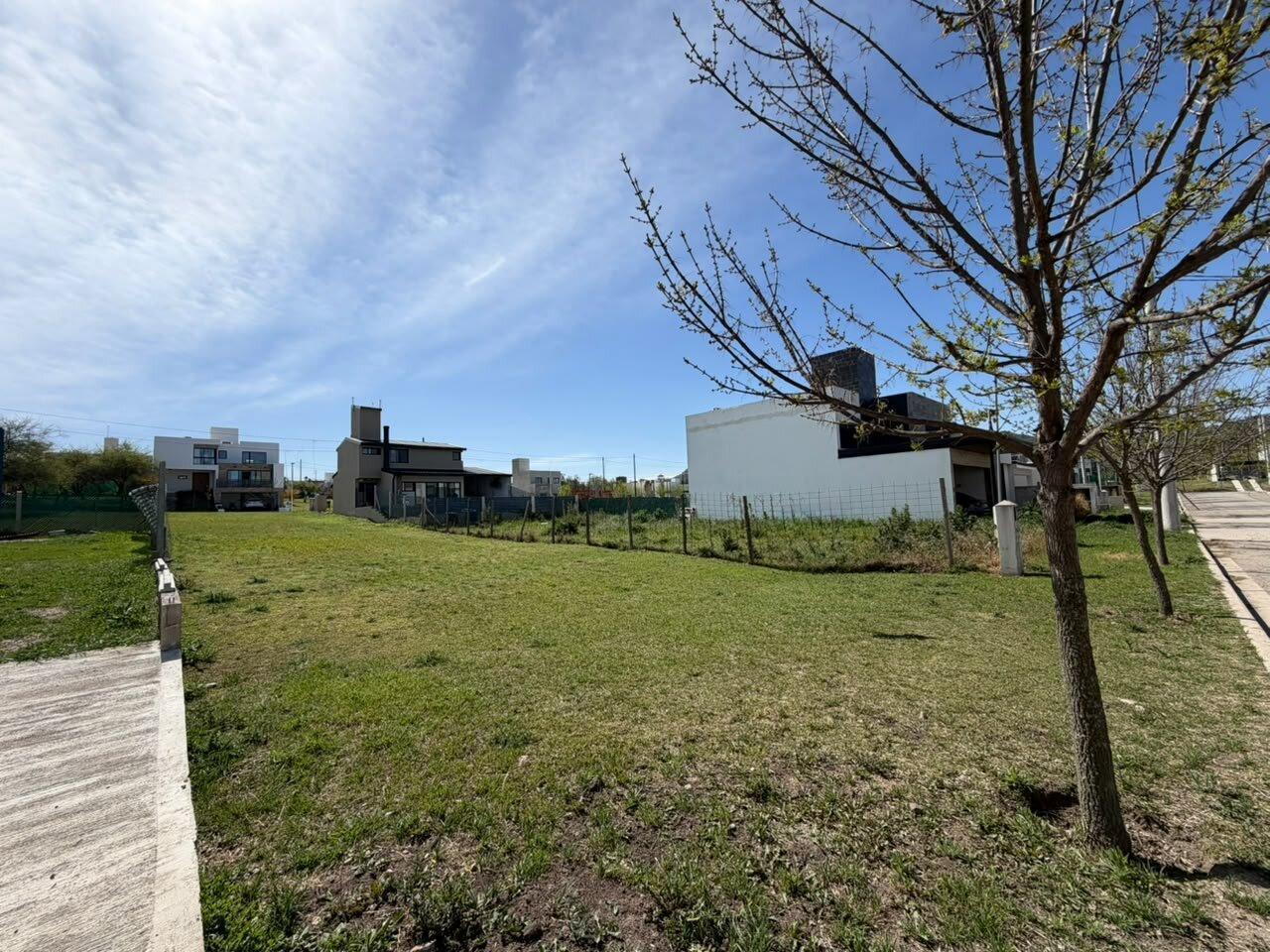 Foto de LOTE EN VENTA TEJAS 4, imagen 1