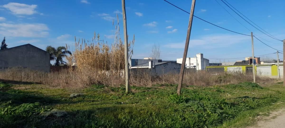 Foto de Terreno en José Hernández, imagen 3