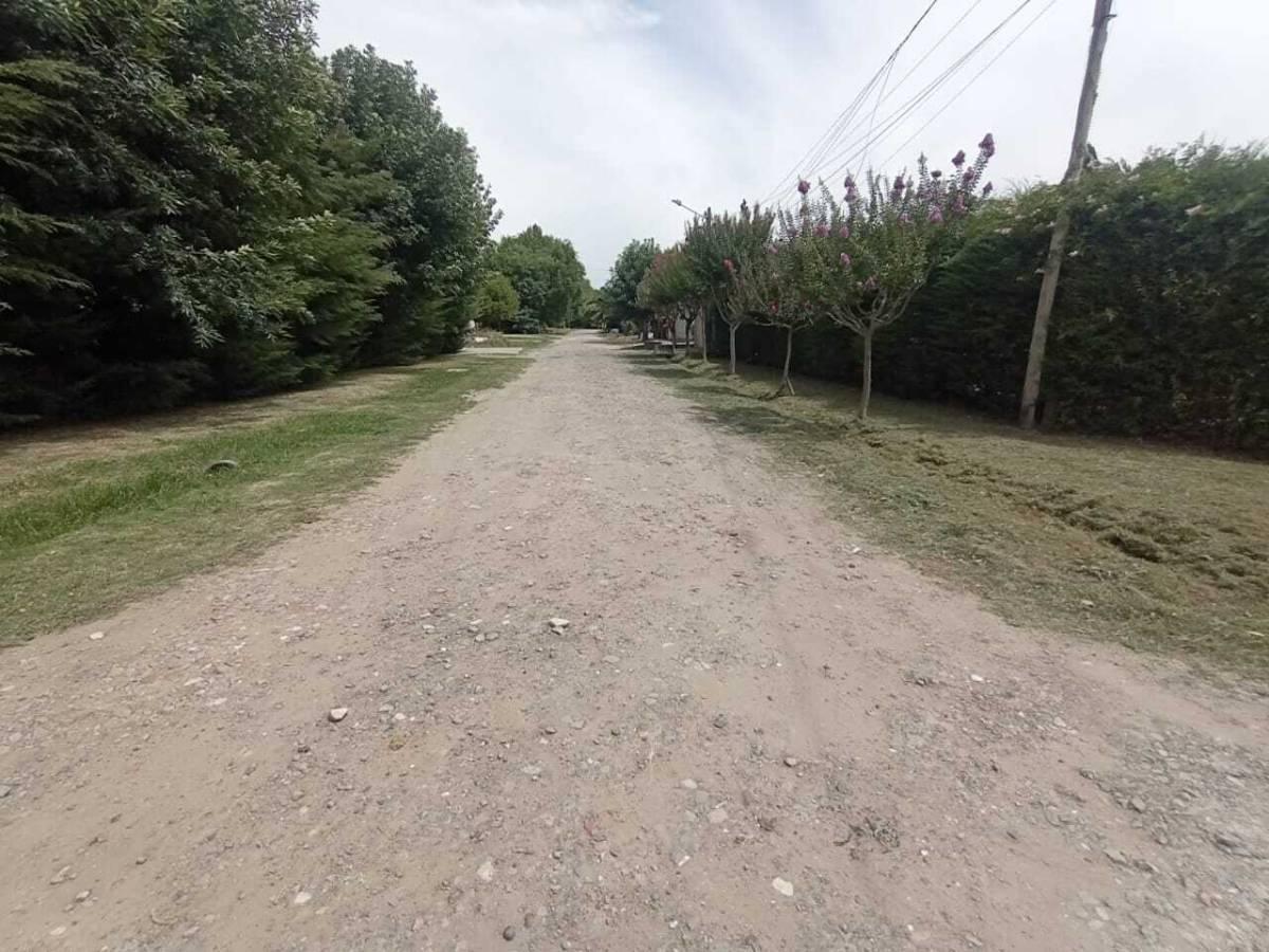 Foto de Terreno en Lisandro Olmos Etcheverry, imagen 5