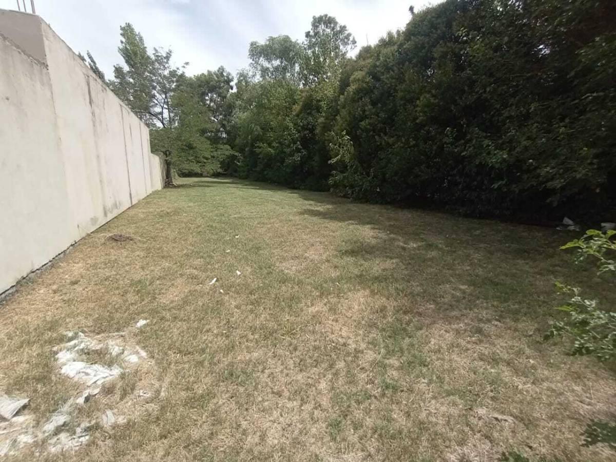 Foto de Terreno en Lisandro Olmos Etcheverry, imagen 3