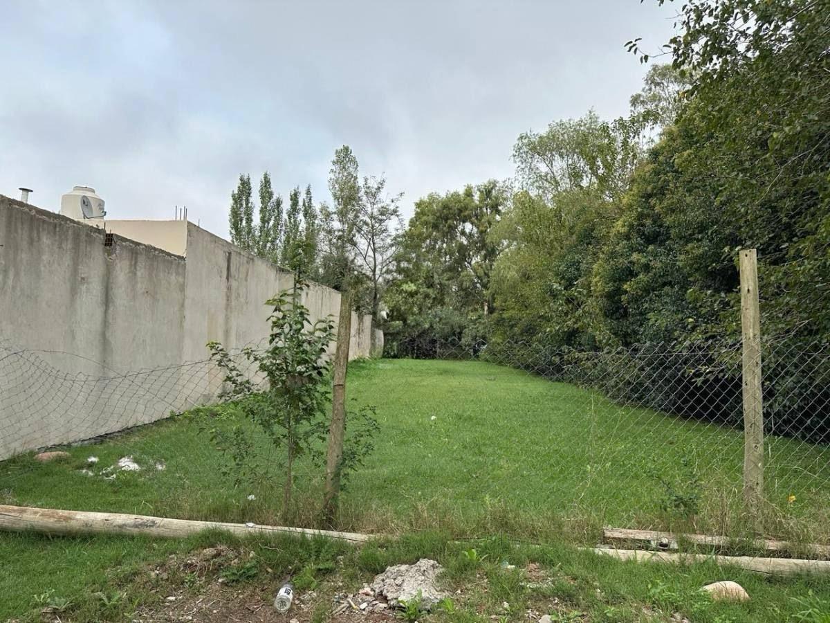 Foto de Terreno en Lisandro Olmos Etcheverry, imagen 1