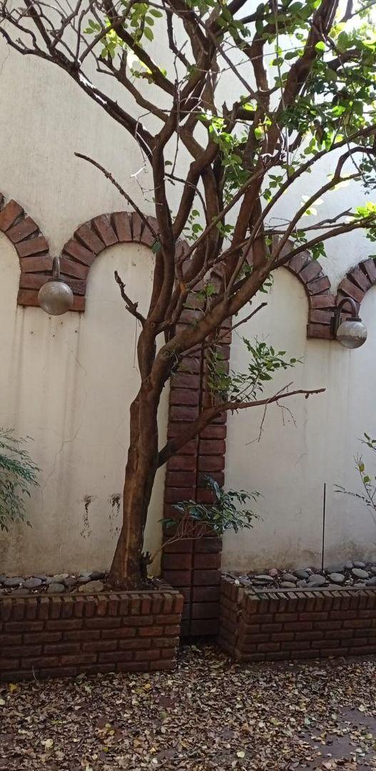 Foto de ÚNICO EN CABALLITO | 2.103 m² VENDIBLES SOBRE AV. GAONA, imagen 5