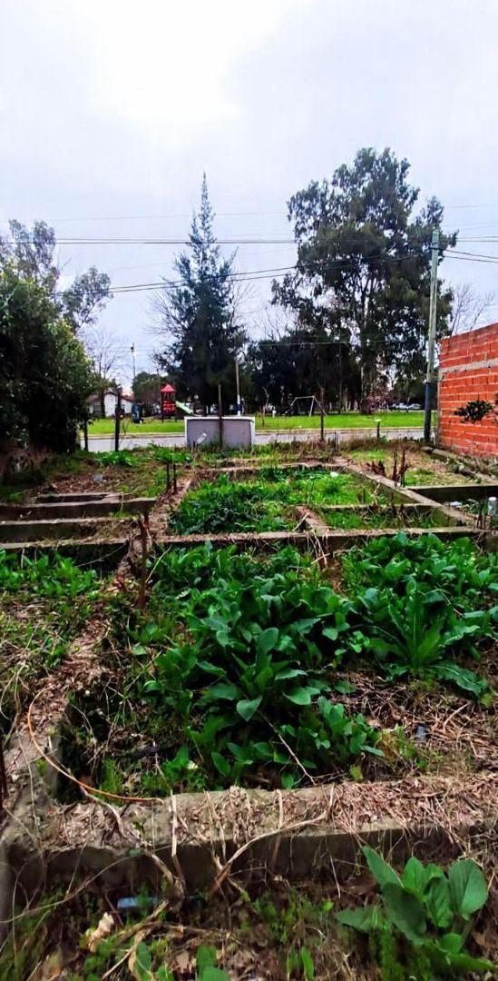 Foto de LOTE FRENTE A PLAZA – LISTO PARA CONSTRUIR, imagen 2