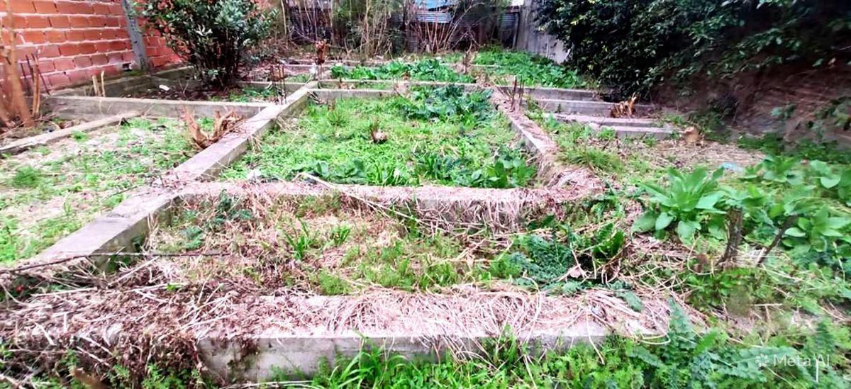 Foto de LOTE FRENTE A PLAZA – LISTO PARA CONSTRUIR, imagen 3