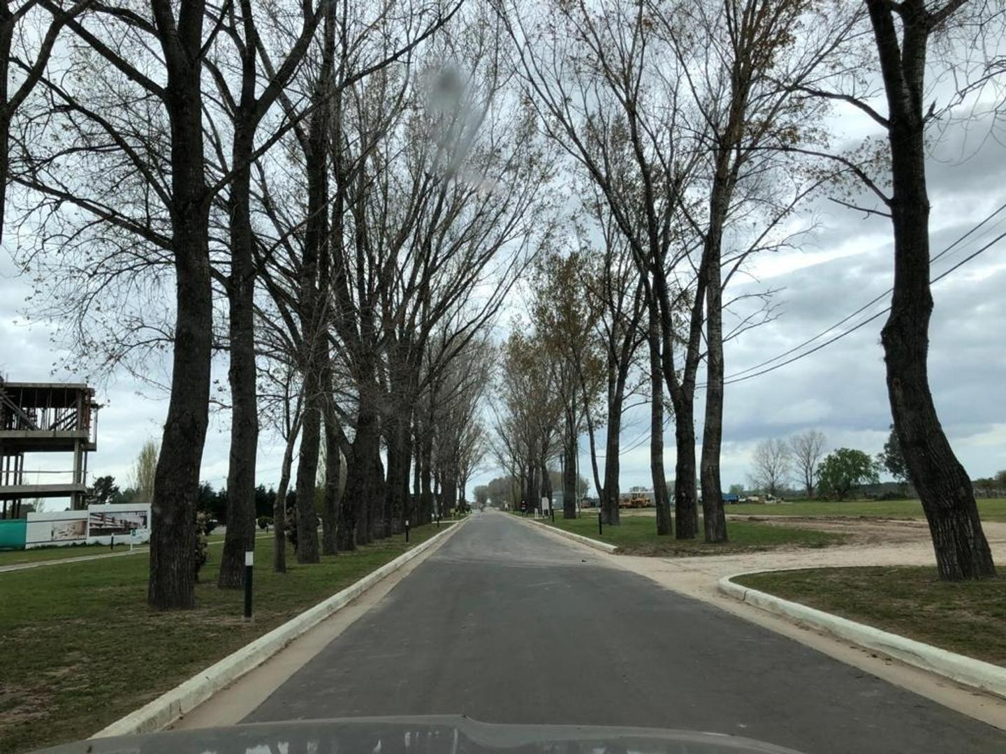 Foto de LOTE EN VENTA PRESIDENTE PERON LA ALAMEDA ETAPA 1, imagen 2