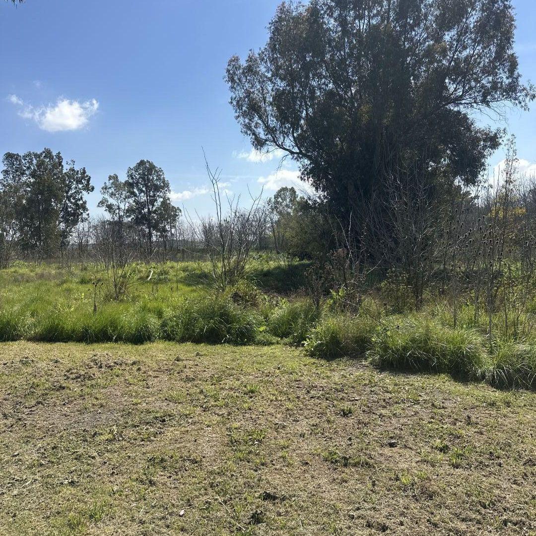 Foto de LOTE EN VENTA EN CHACRAS DE CANNING, BARRIO ABIERTO, imagen 1