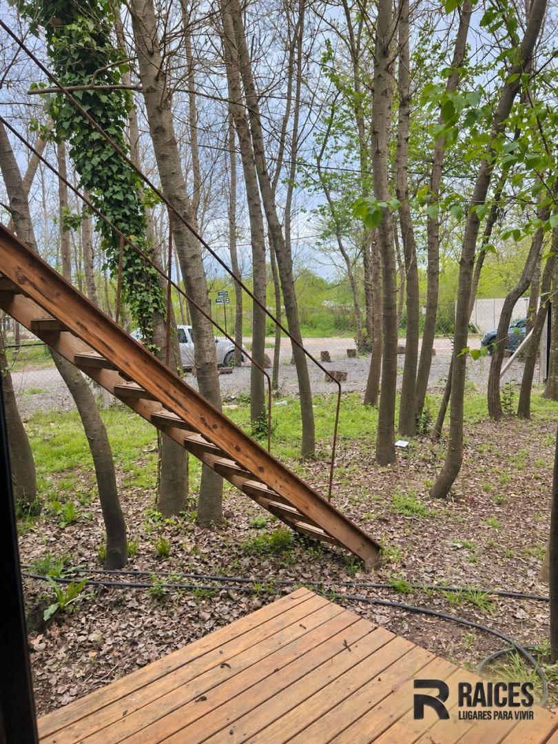 Foto de VENTA LOTE RAICES SAN VICENTE, imagen 2