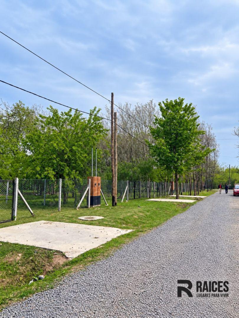 Foto de VENTA LOTE RAICES SAN VICENTE, imagen 1
