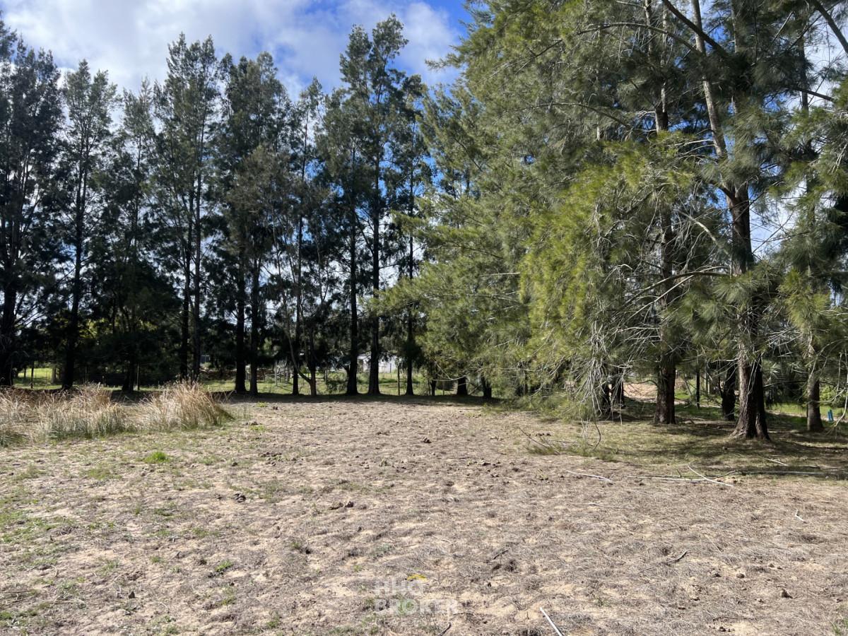 Foto de Terreno en Venta, Jardines de Cordoba-Marly, Punta del Este., imagen 2
