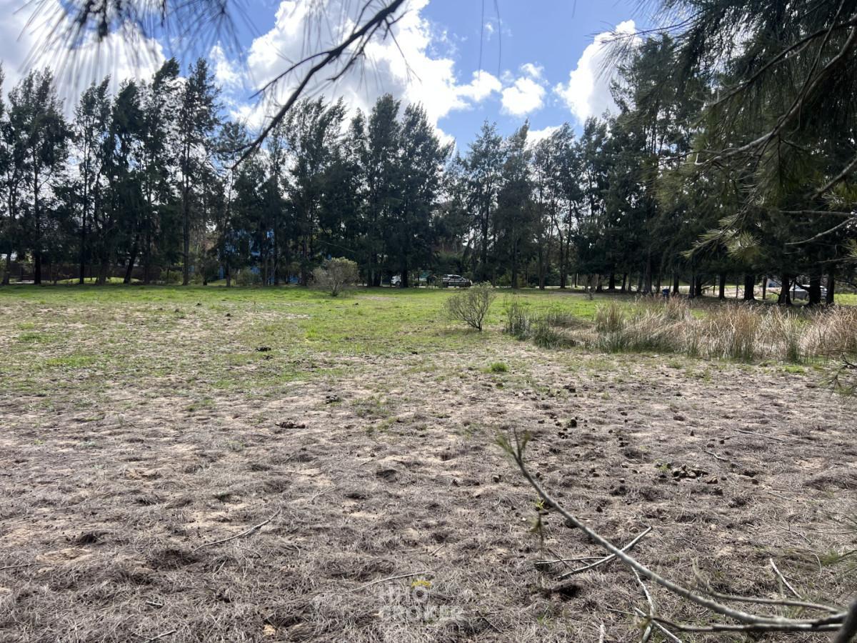 Foto de Terreno en Venta, Jardines de Cordoba-Marly, Punta del Este., imagen 4