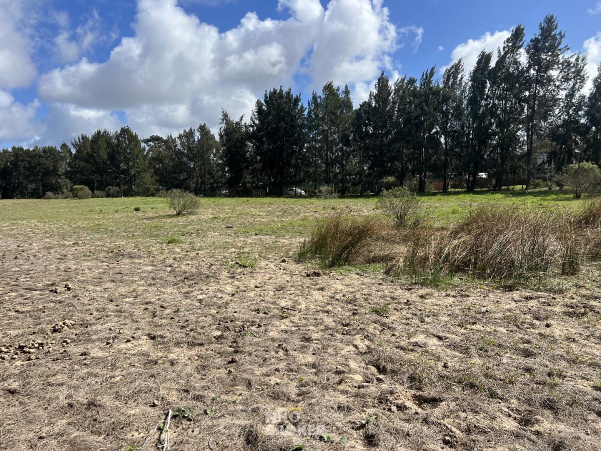 Foto de Terreno en Venta, Jardines de Cordoba-Marly, Punta del Este., imagen 5