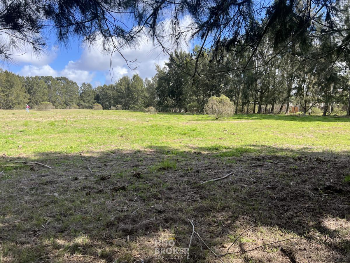 Foto de Terreno en Venta, Jardines de Cordoba, Punta del Este., imagen 4